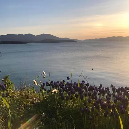 招待所 Athina 寇特