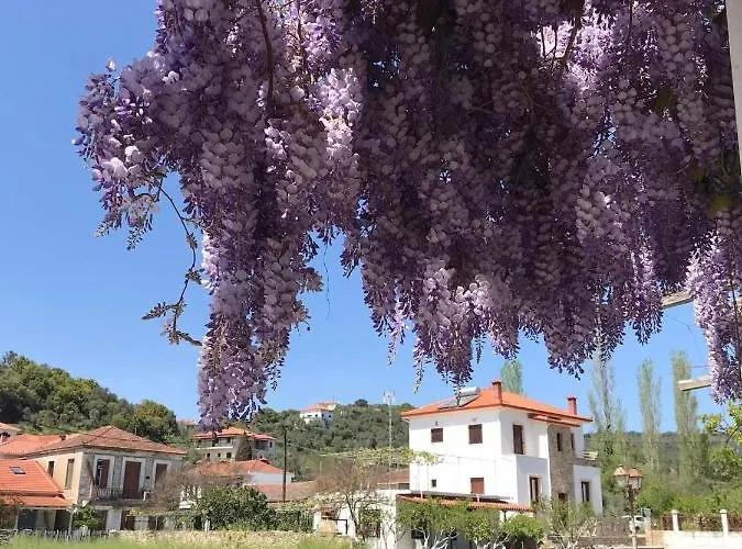 Athina Gasthuis Chorto